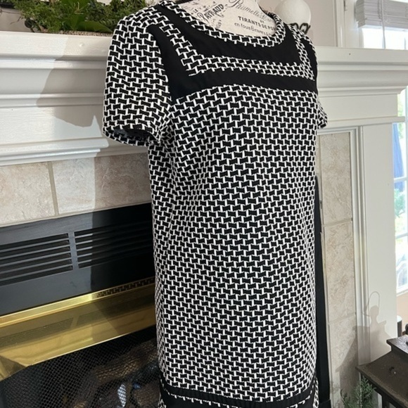 9-H15 for Anthropologie Longer Top or Mini Dress in black and white - Picture 4 of 10